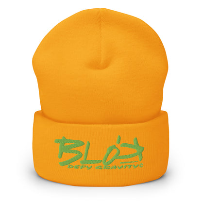 Blok Defy Gravity - Sage Green Embroidery - Premium Cuffed Beanie