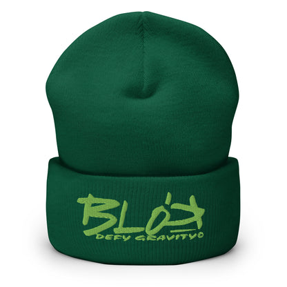 Blok Defy Gravity - Sage Green Embroidery - Premium Cuffed Beanie