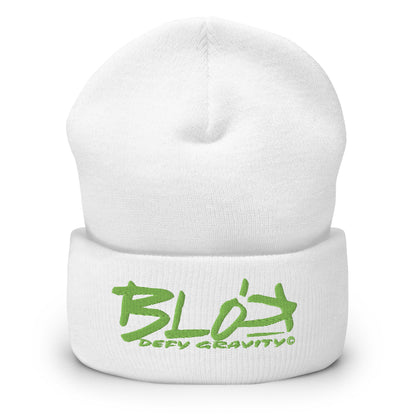 Blok Defy Gravity - Sage Green Embroidery - Premium Cuffed Beanie