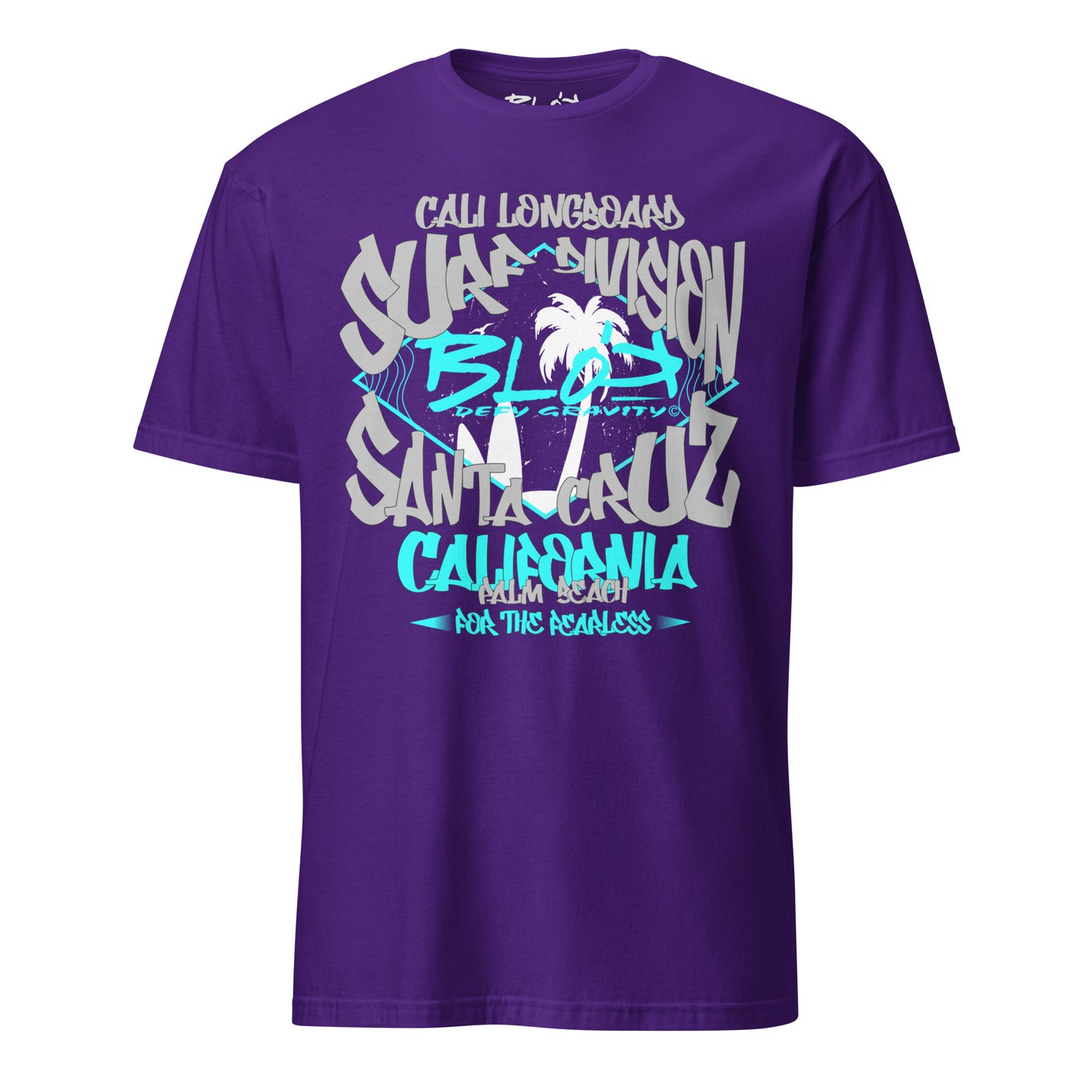 Santa Cruz California - Front Print - in Grey & Turquoise - Women's Relaxed Fit