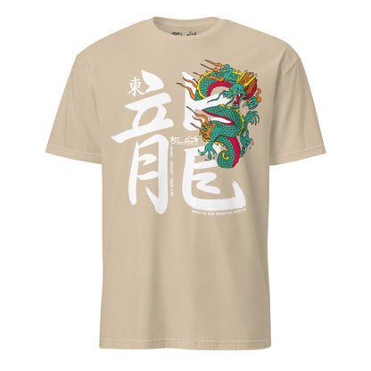 Hidden Dragon - Front  Print in White - Women's Relaxed Fit